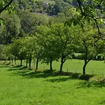 Le Pressoir Domaine De Jouani Nyaraló Villecomtal
