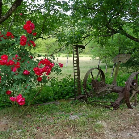 Le Pressoir Domaine De Jouani Villecomtal