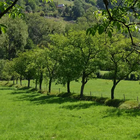 Le Pressoir Domaine De Jouani Nyaraló *
